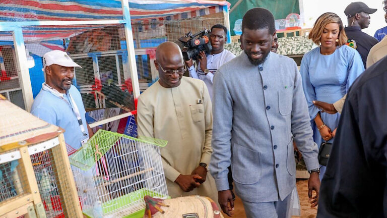 Souveraineté alimentaire au Sénégal: une source de motivation des PME-PMI 