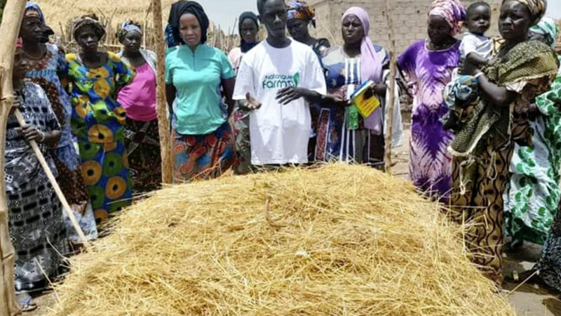 KAFFRINE/AUTONOMISATION DES FEMMES : 300 femmes formées pour  être autonomes dans le domaine agricole