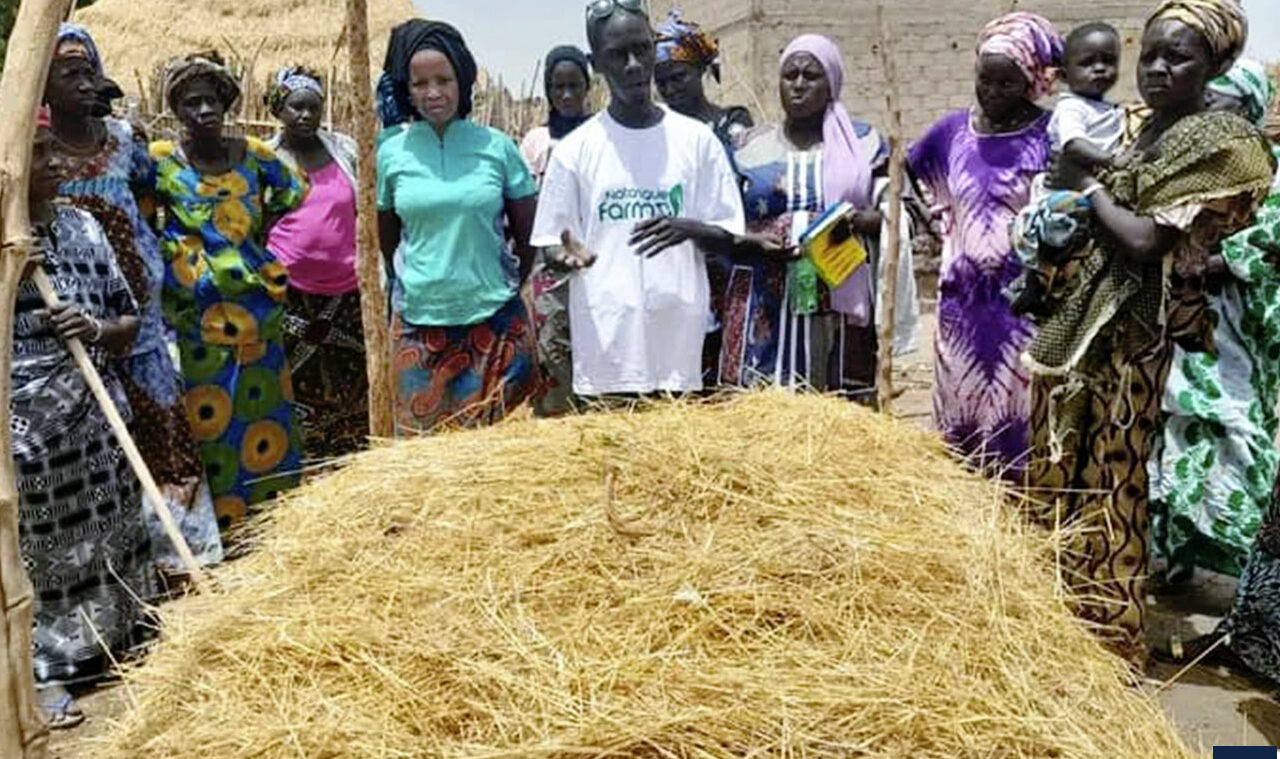 KAFFRINE/AUTONOMISATION DES FEMMES : 300 femmes formées pour  être autonomes dans le domaine agricole