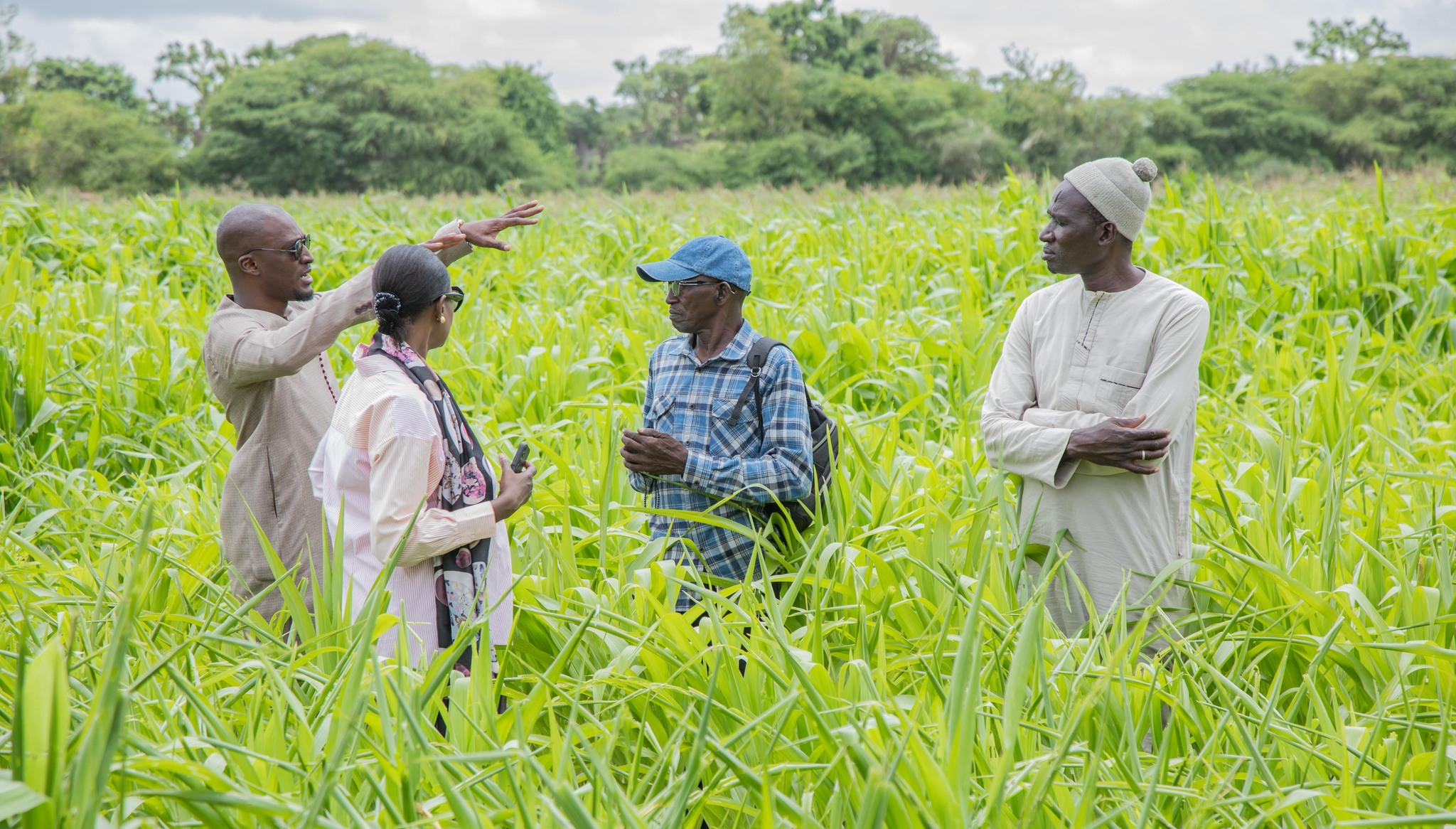 VISITE: Le Directeur Général de l’Apix réitère son soutien pour accompagner l’entreprise Minam Export dans ses exploitations agricoles