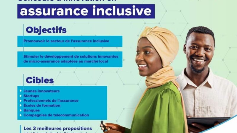 Appel 𝗮̀ candidatures : Concours d’innovation en assurance inclusive du PNUD !